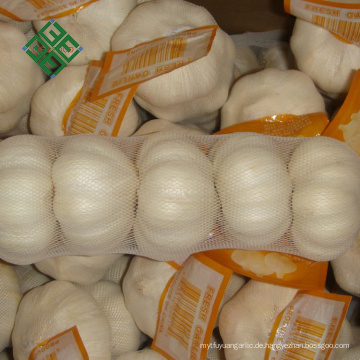 beste 3 p reinen weißen Knoblauch Preis in China
